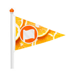 Ship flags
