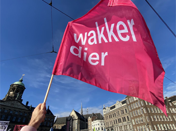 Waving flags